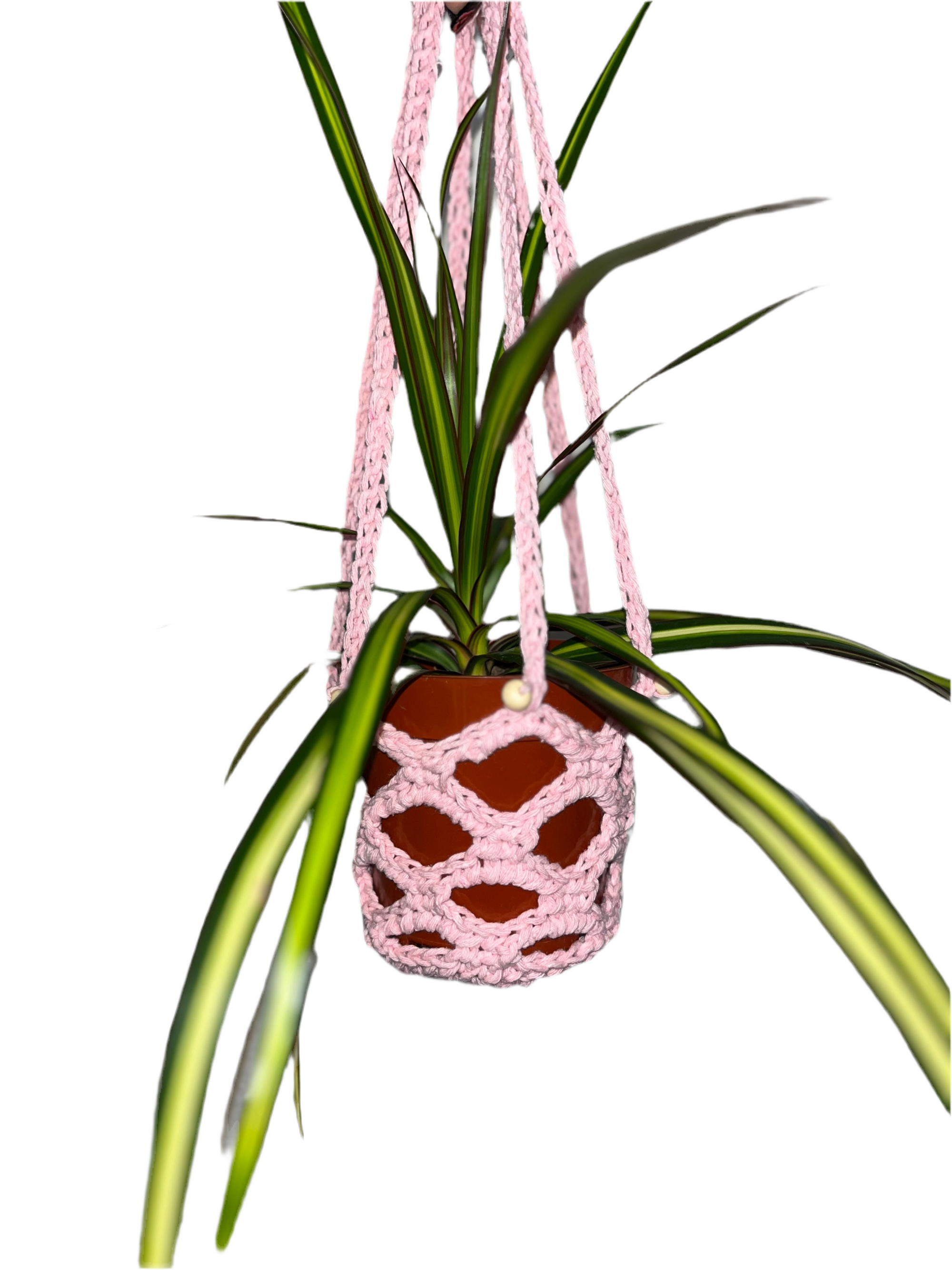 Plant Hanger