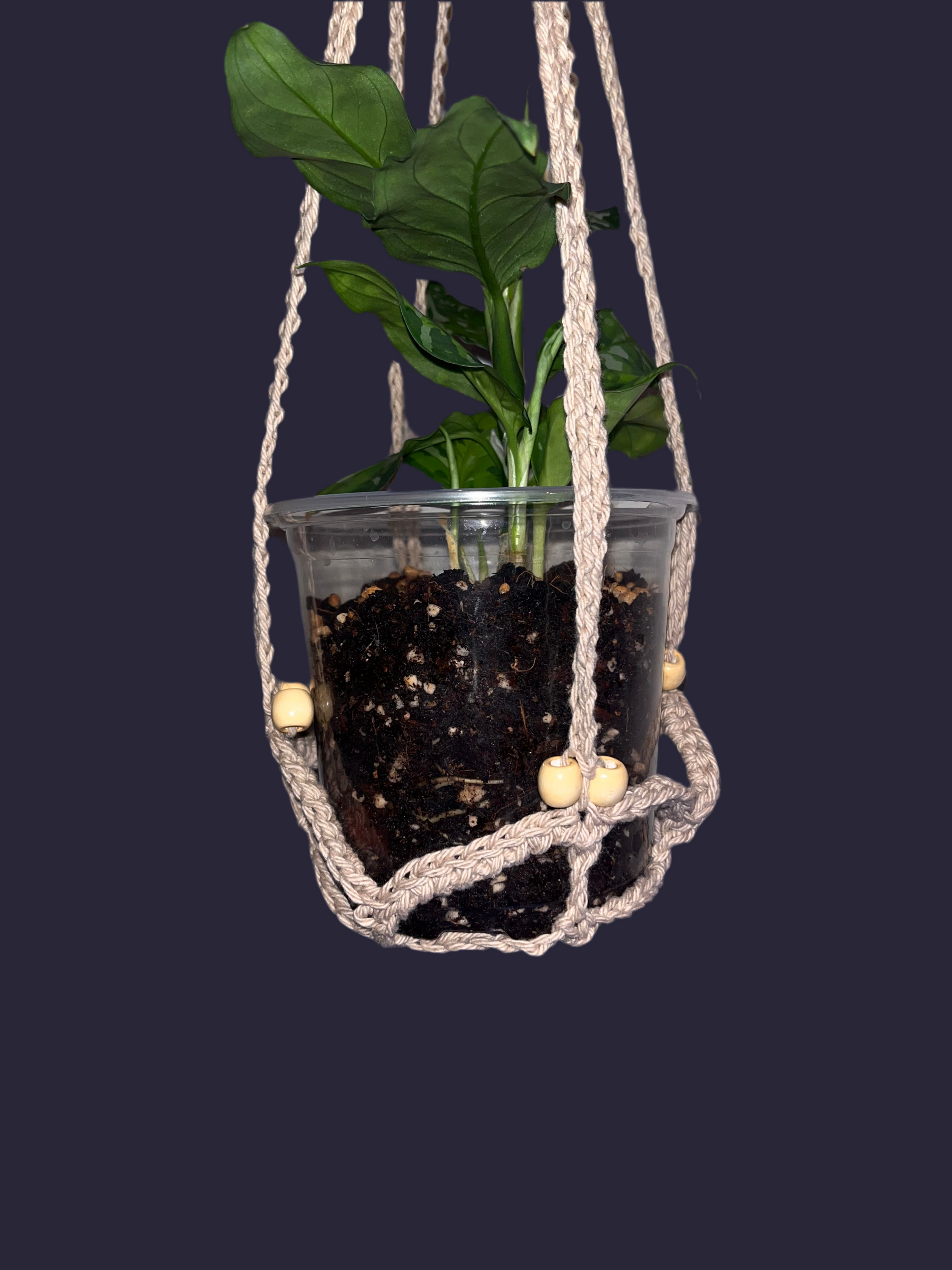 Net Plant Hanger