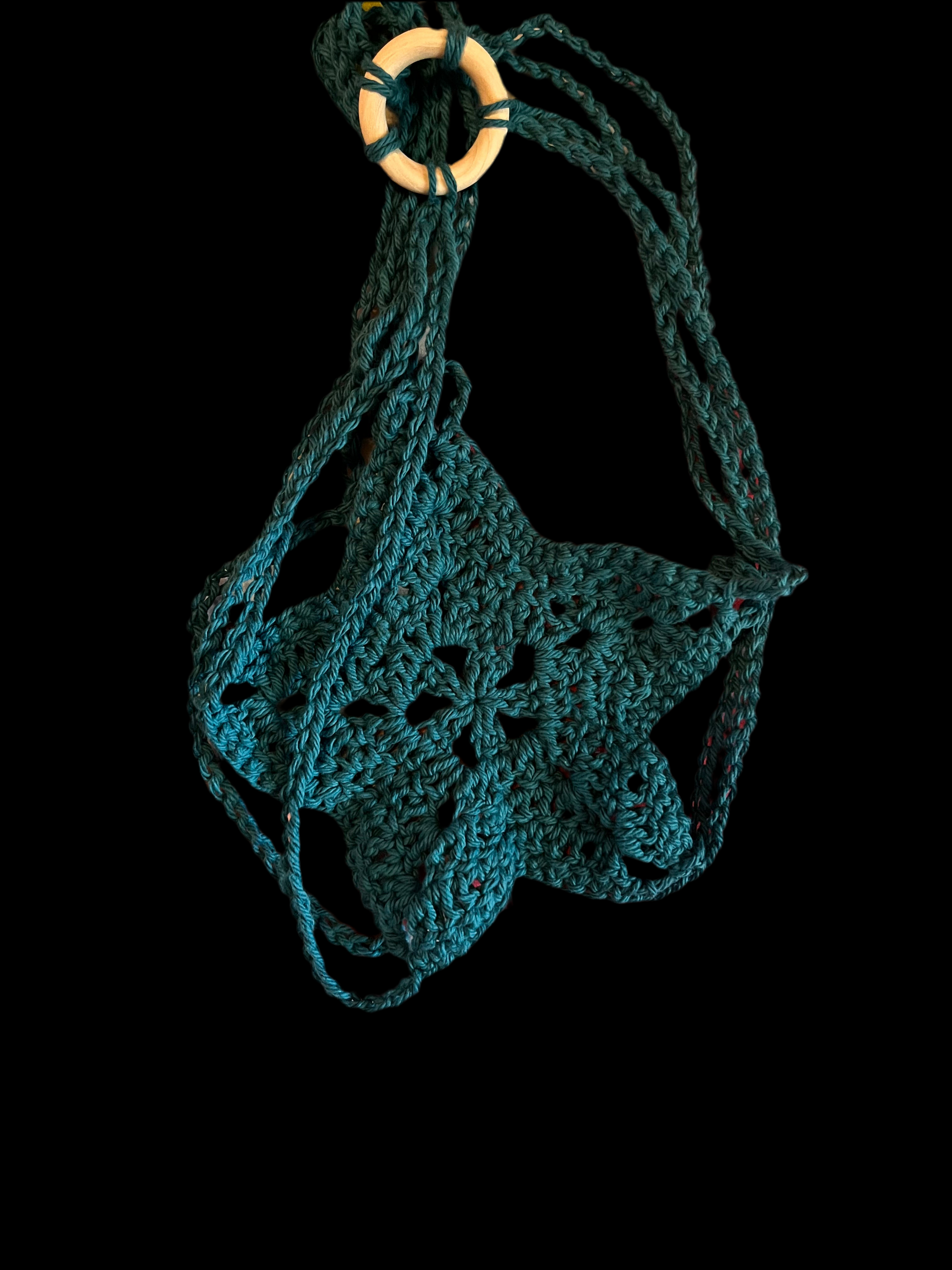 Plant Hanger
