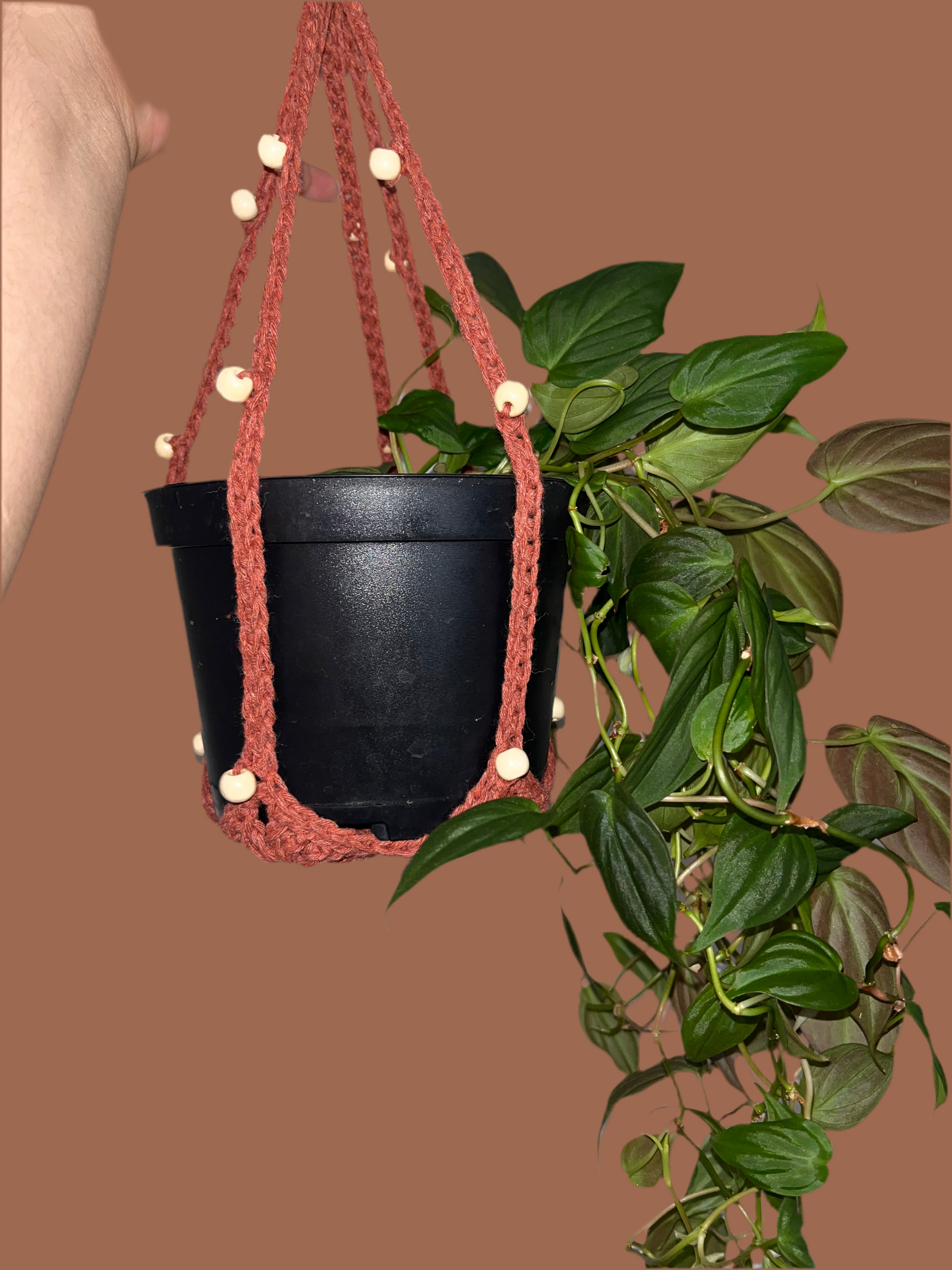 Plant Hanger w/ Beads
