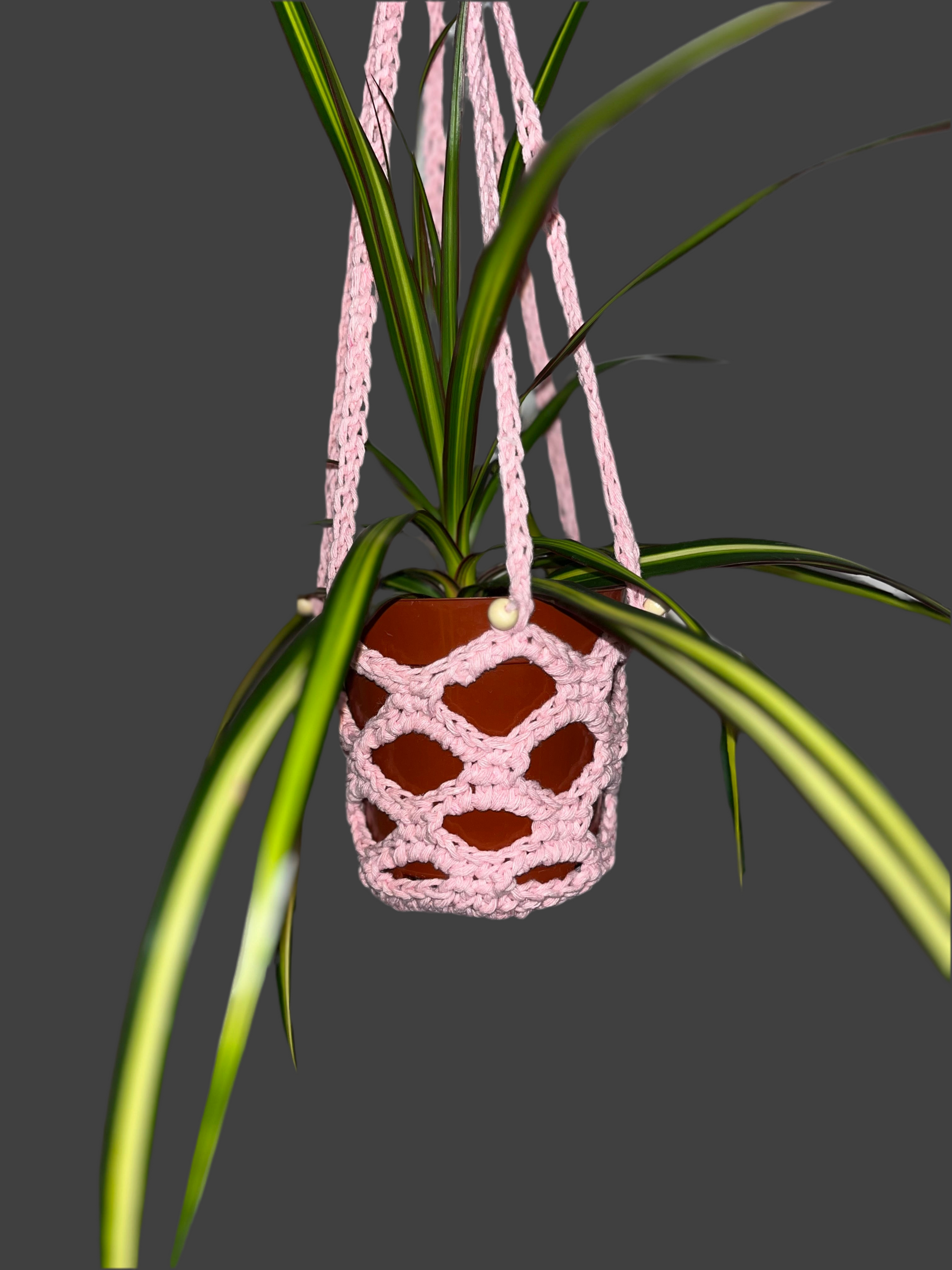 Plant Hanger