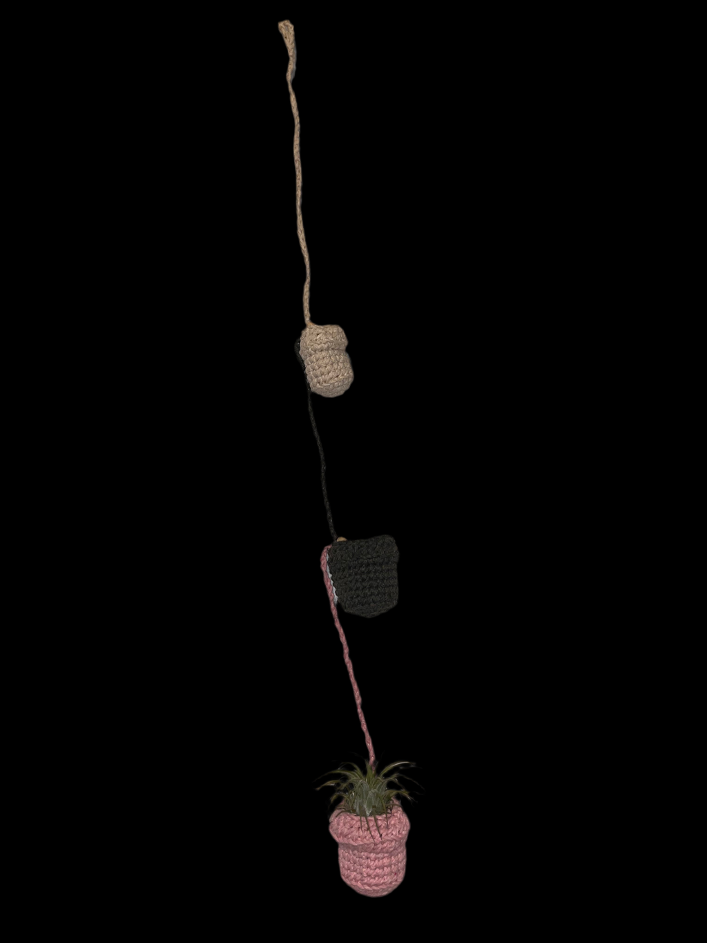 Airplant holder