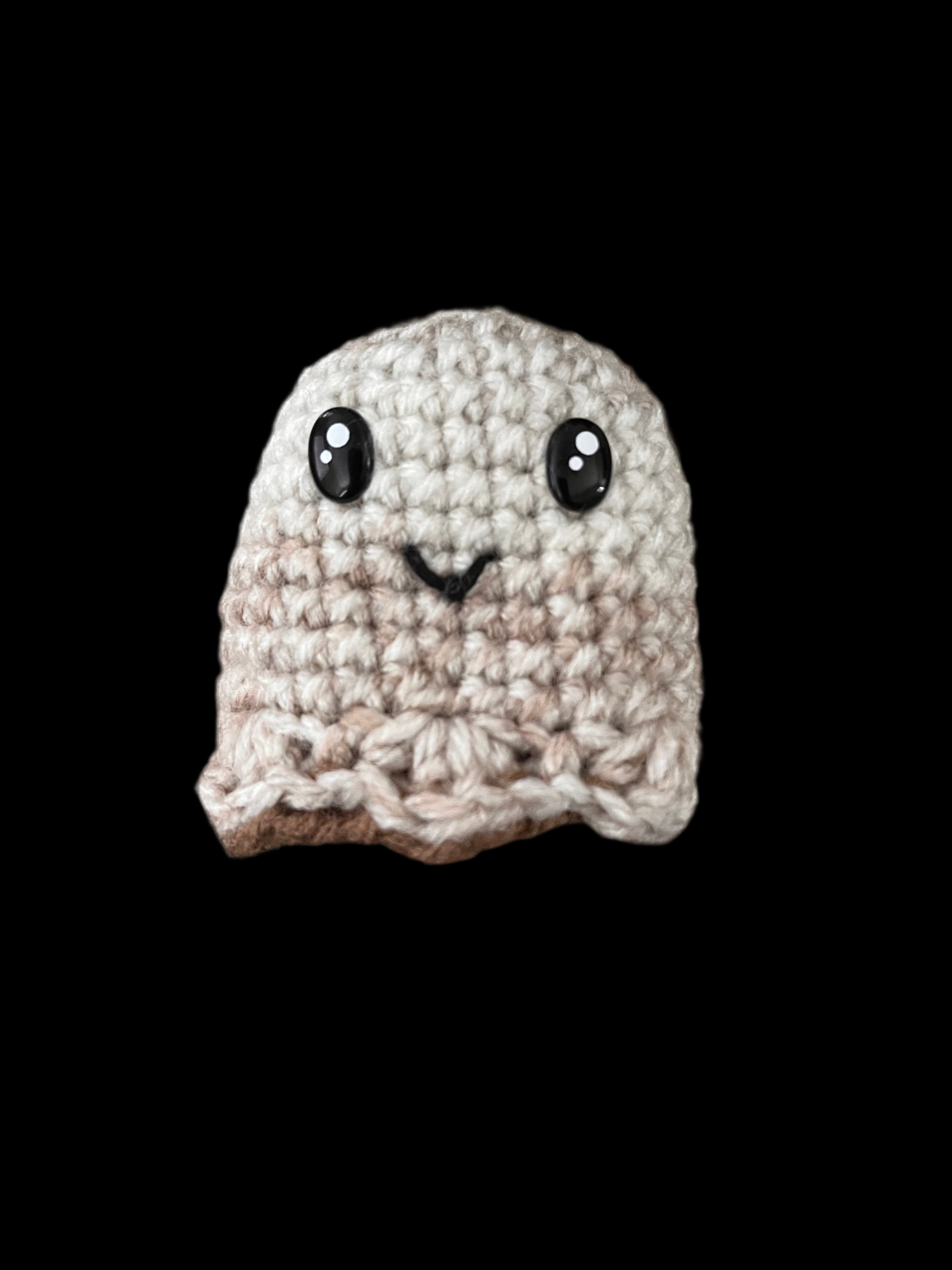 Reversible Ghost