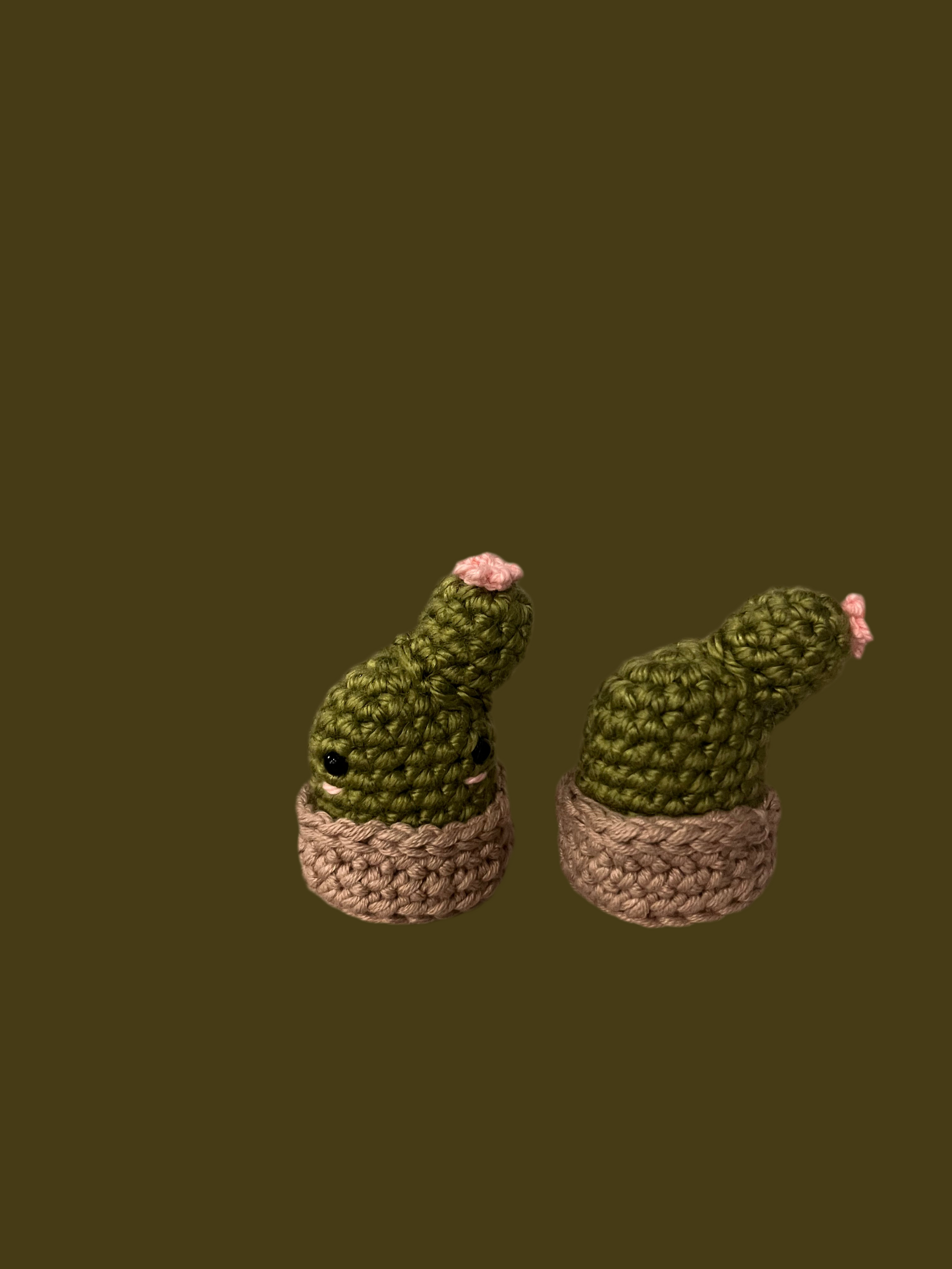 Cactus plush