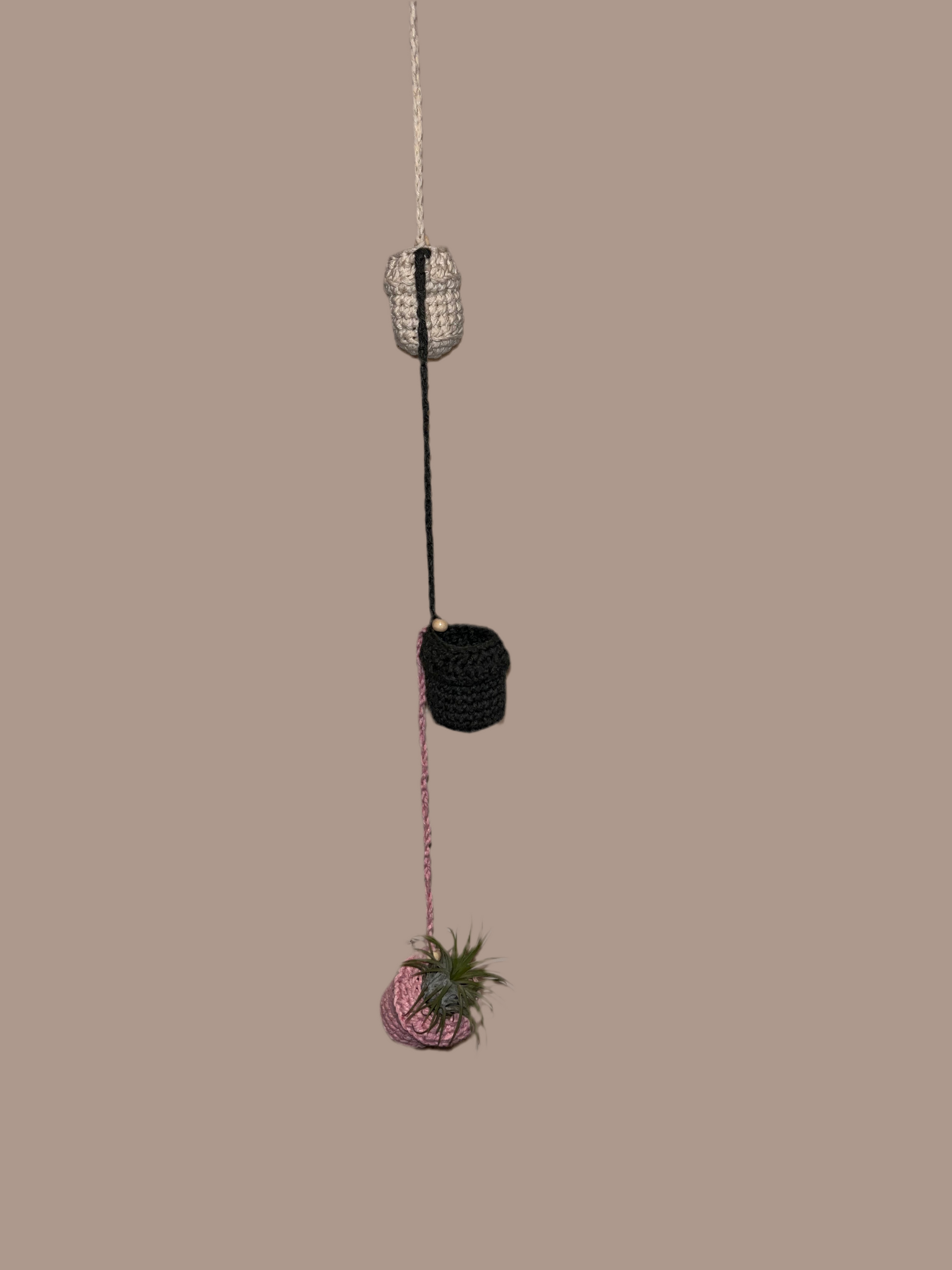 Airplant holder