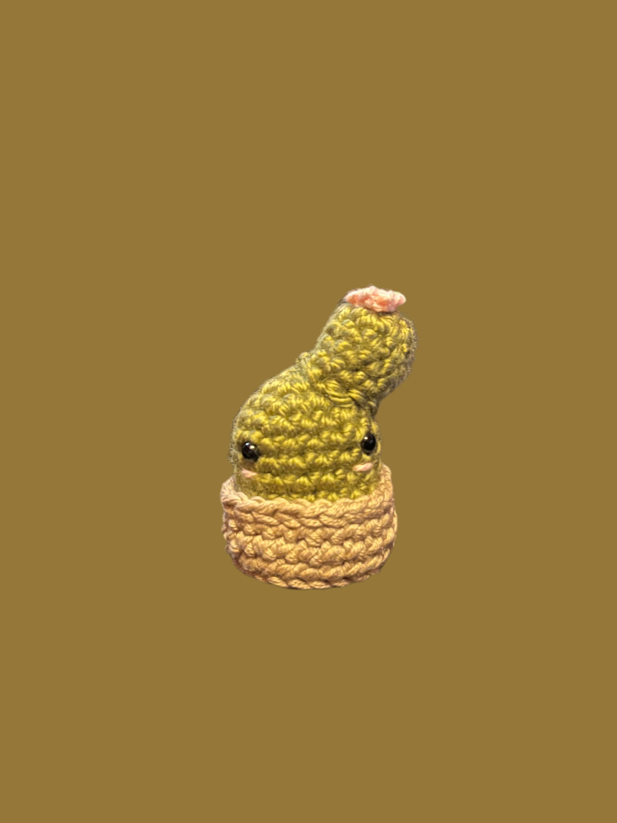 Cactus plush
