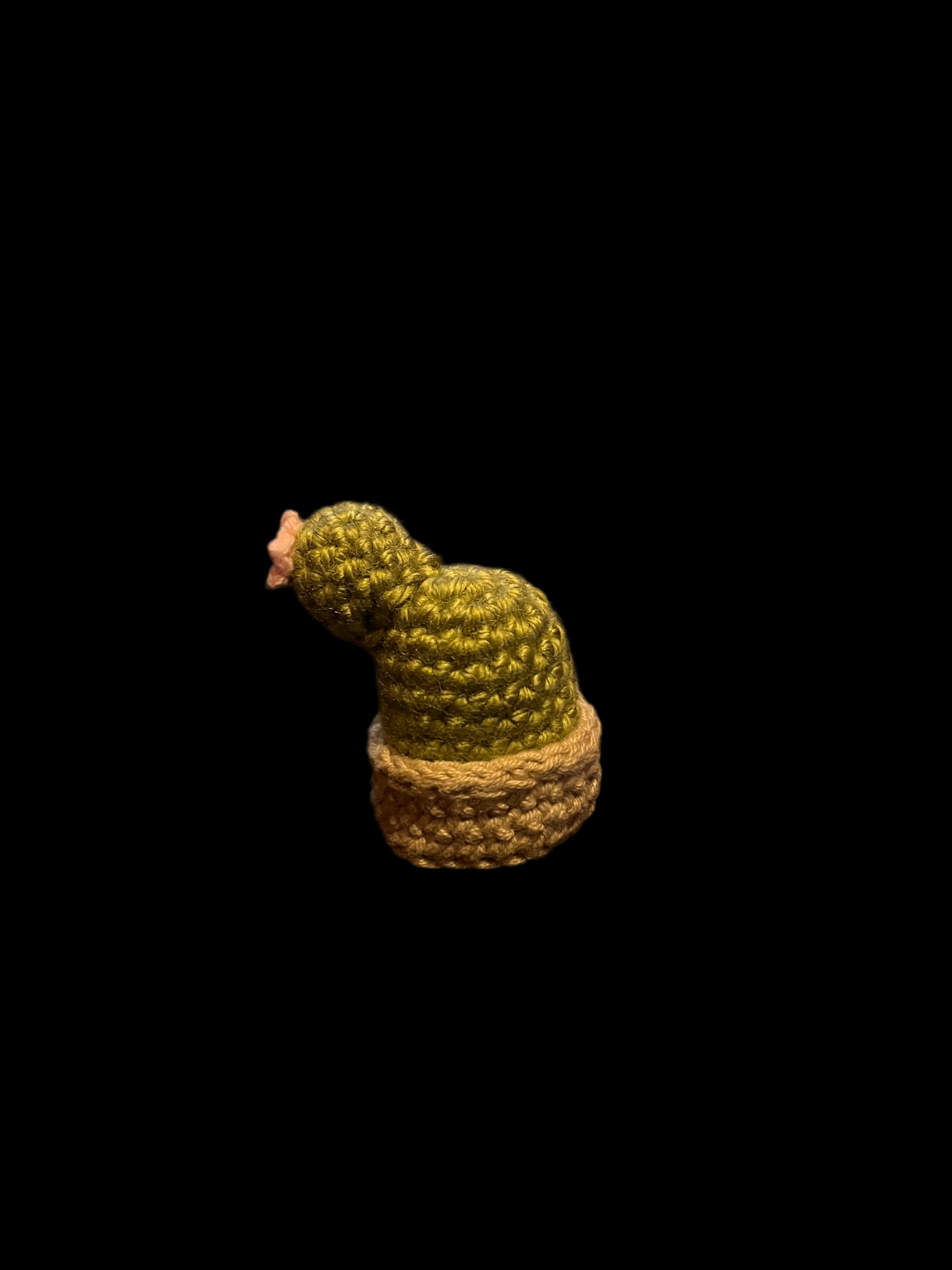 Cactus plush