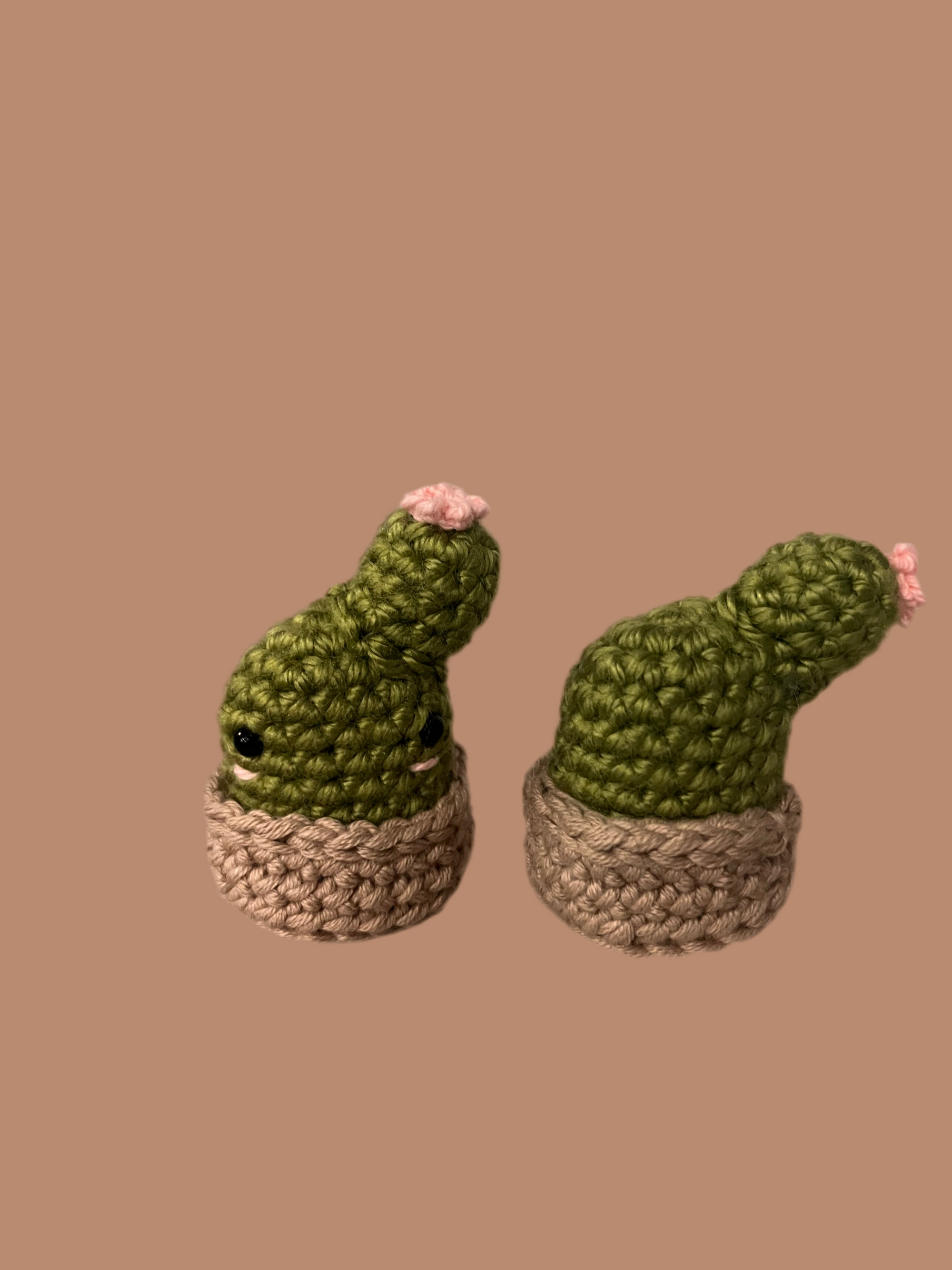 Cactus plush