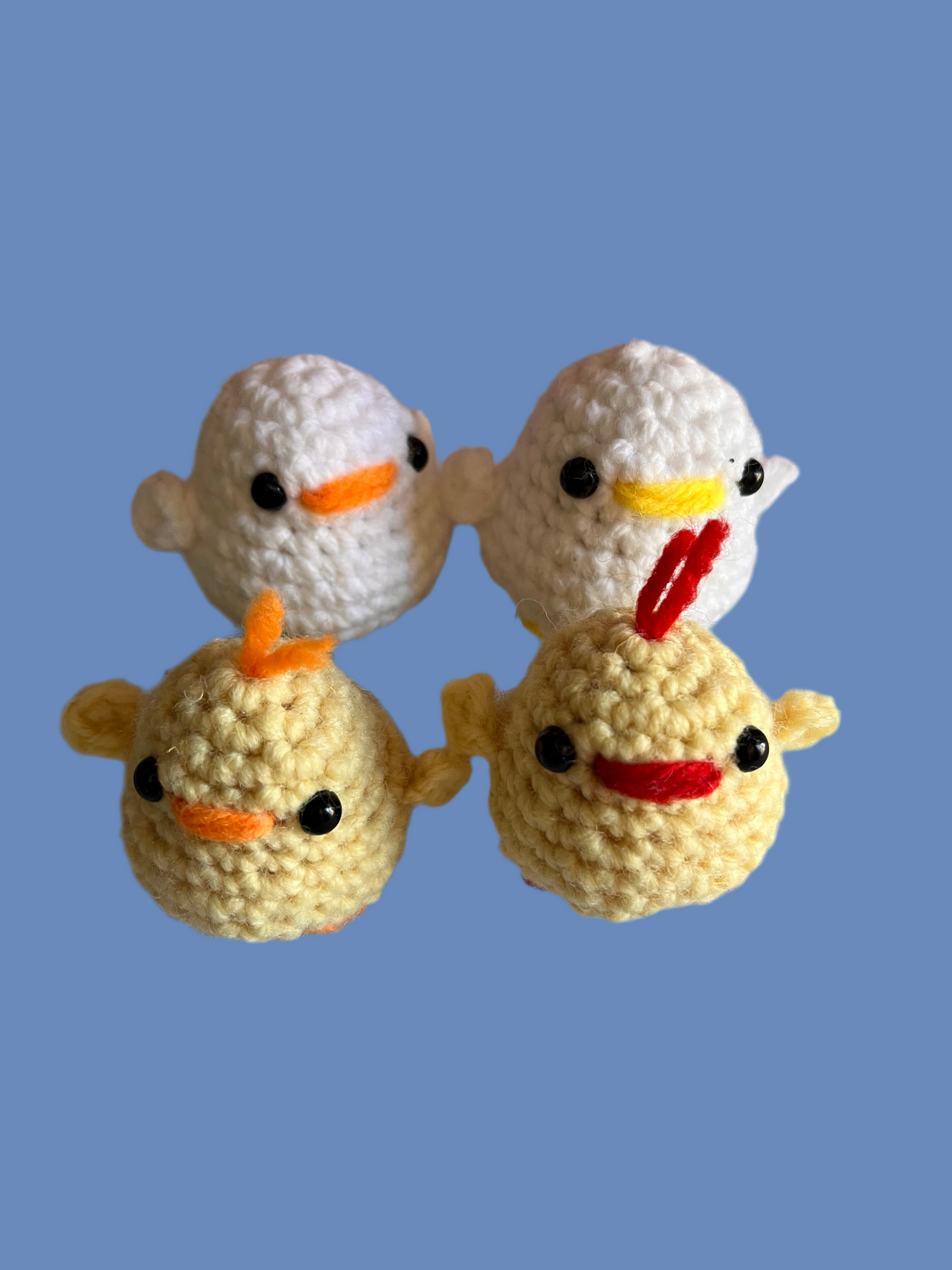 Small Chicken