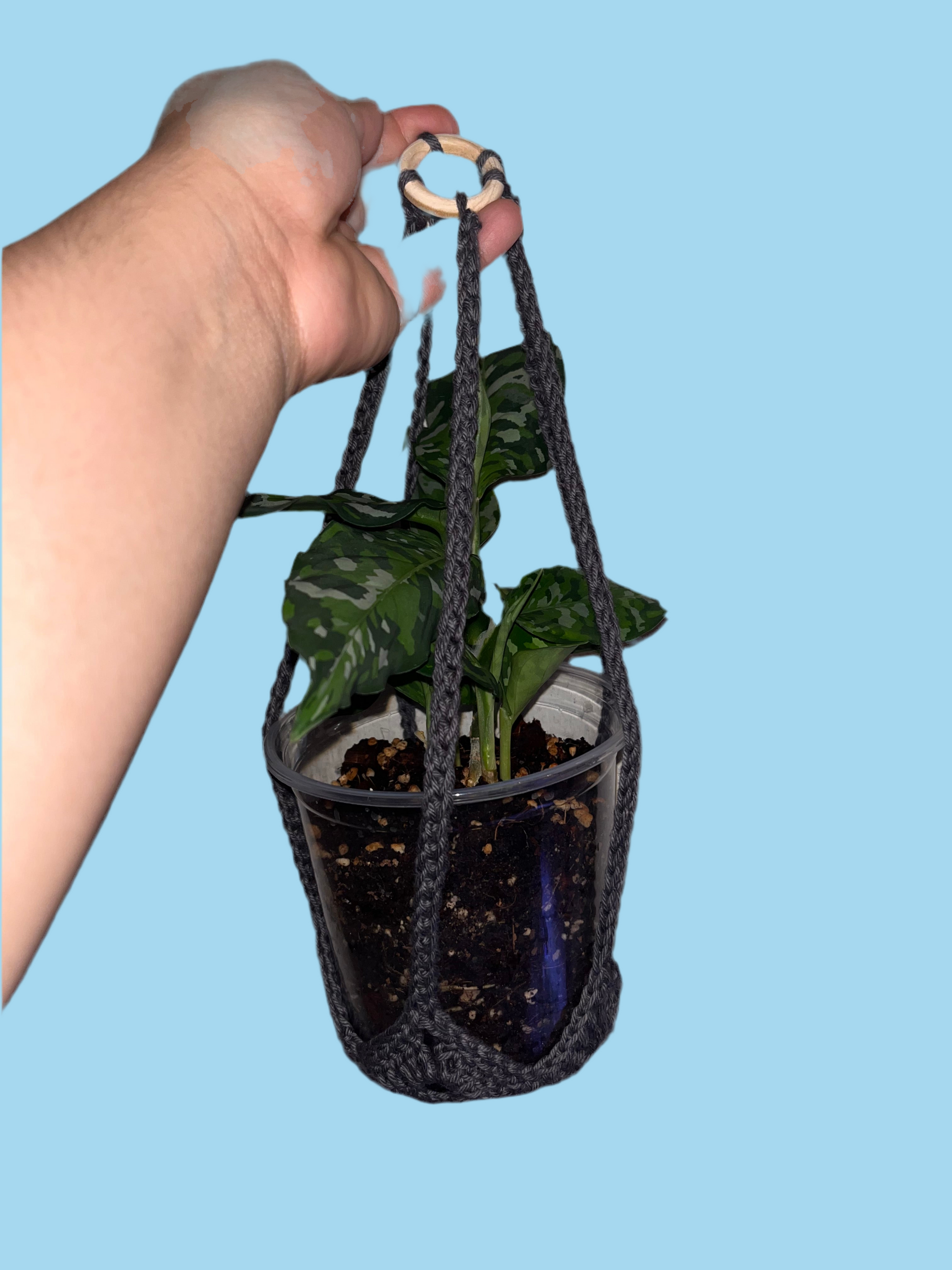 Plant Hanger