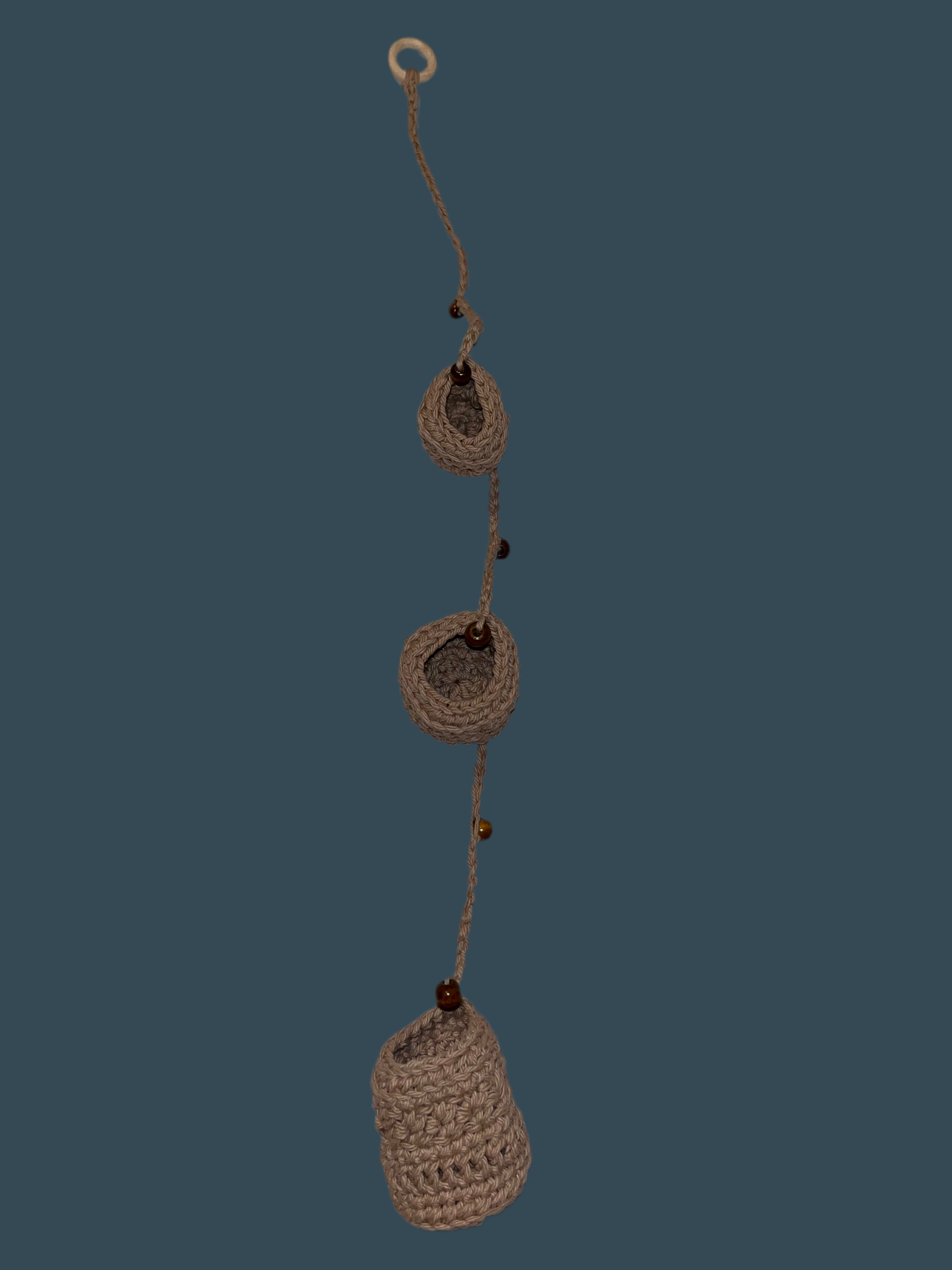 Airplant holder