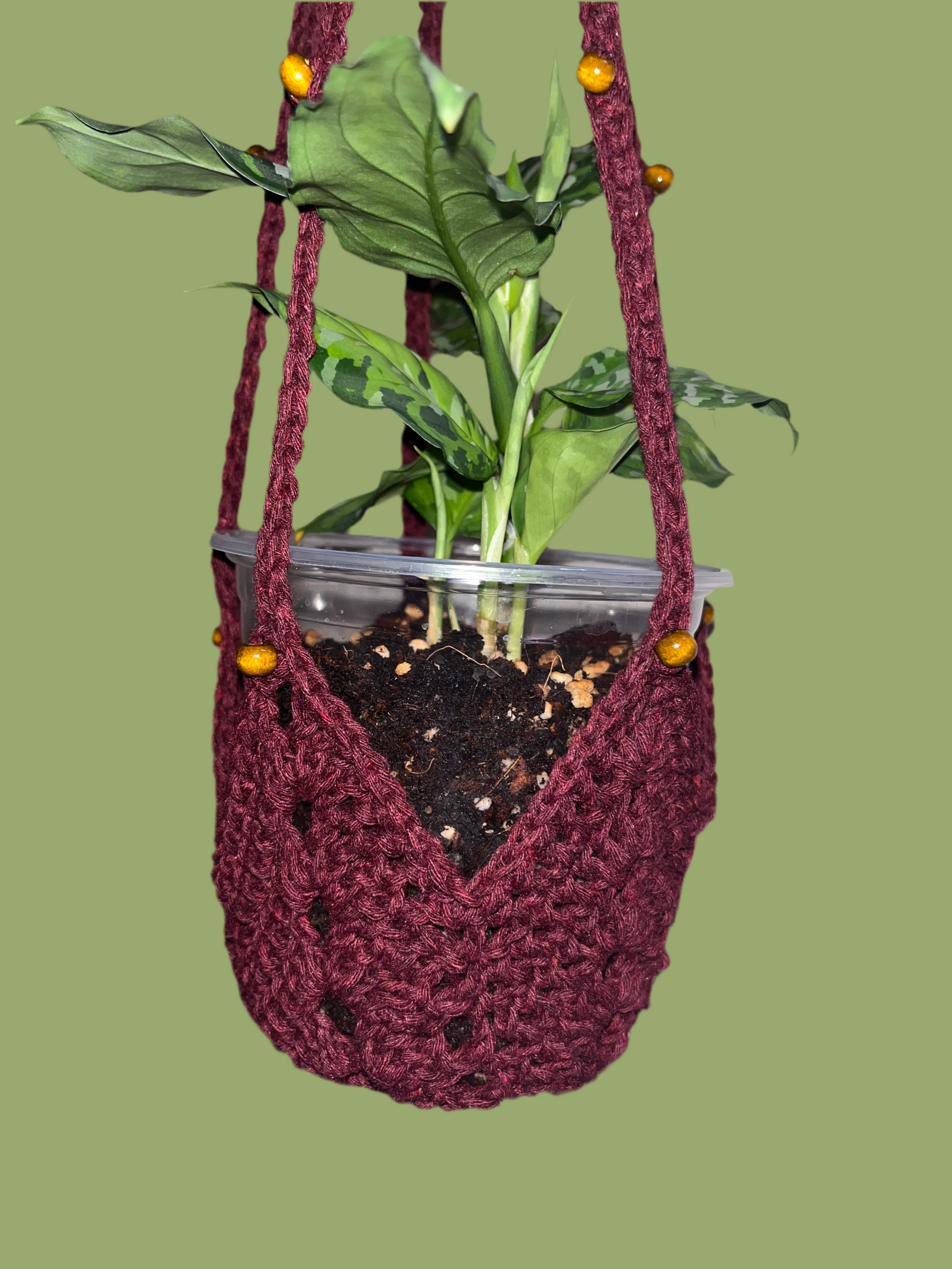 Plant Hanger w/ Beads