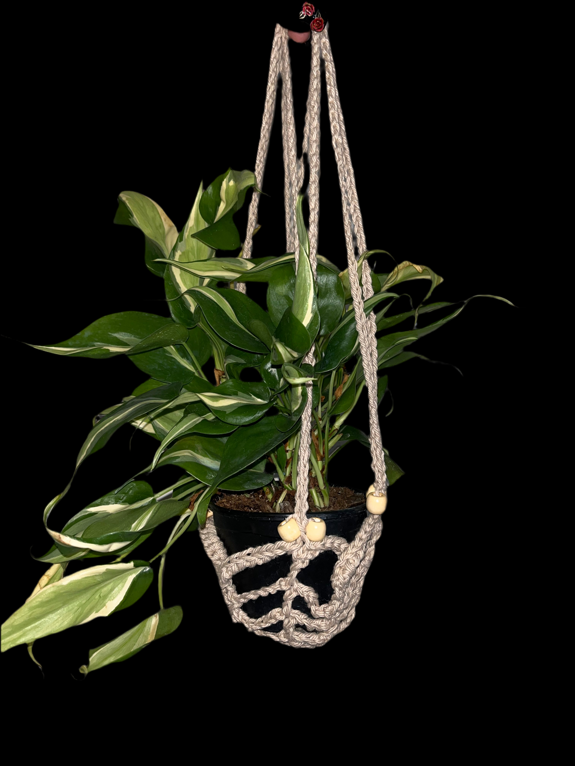 Net Plant Hanger