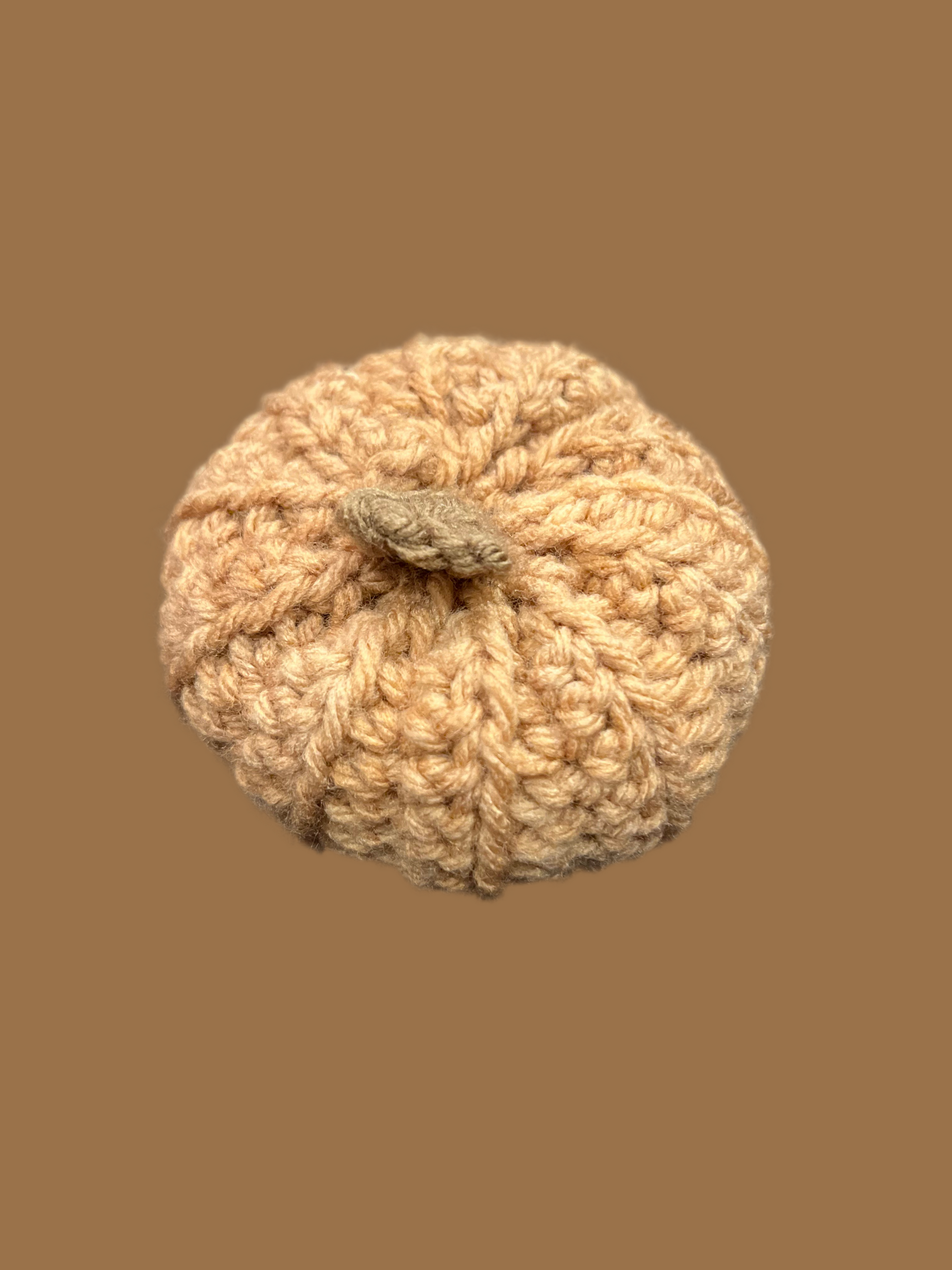 Pumpkin w/squeaker
