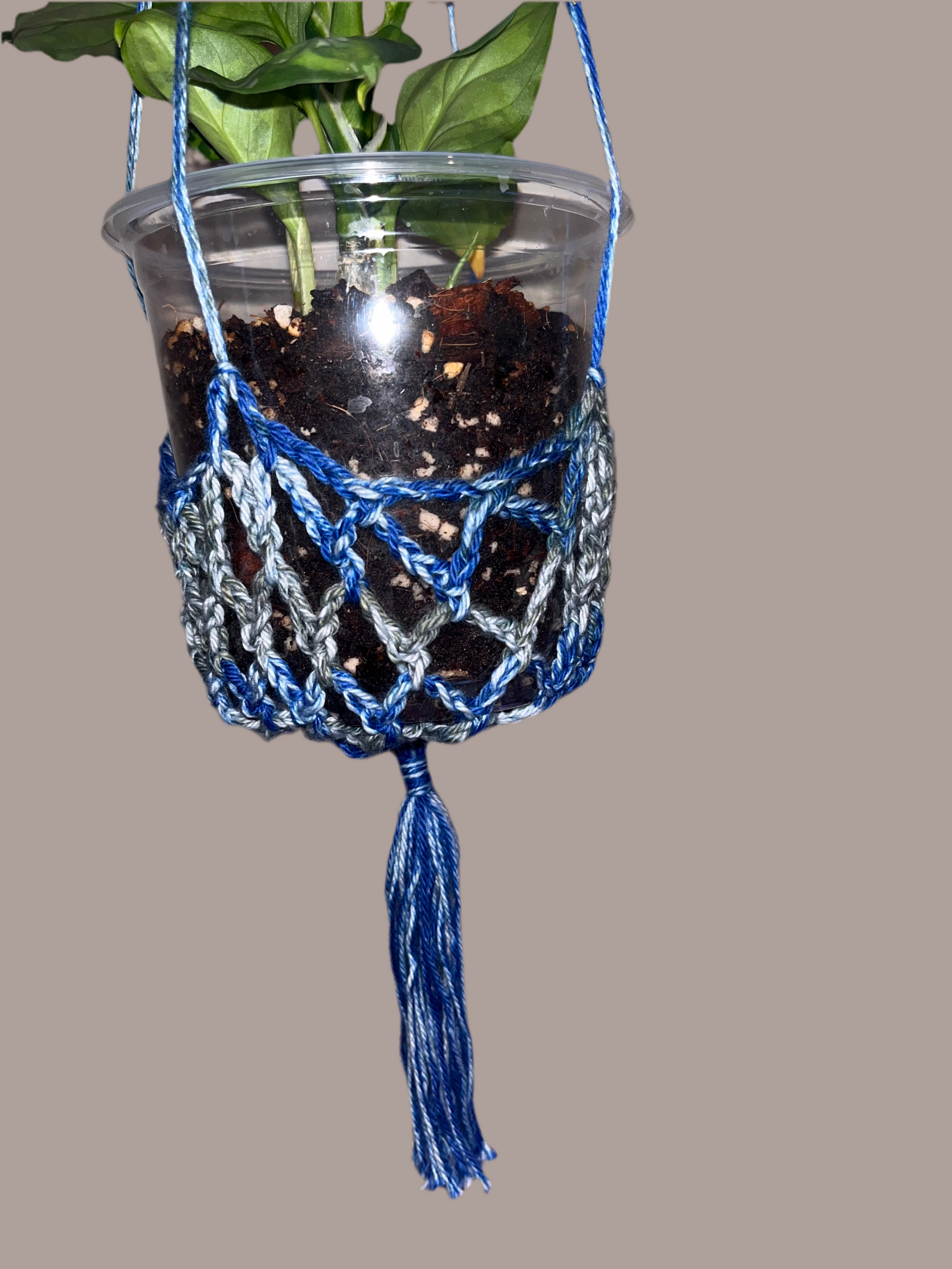 Plant Hanger
