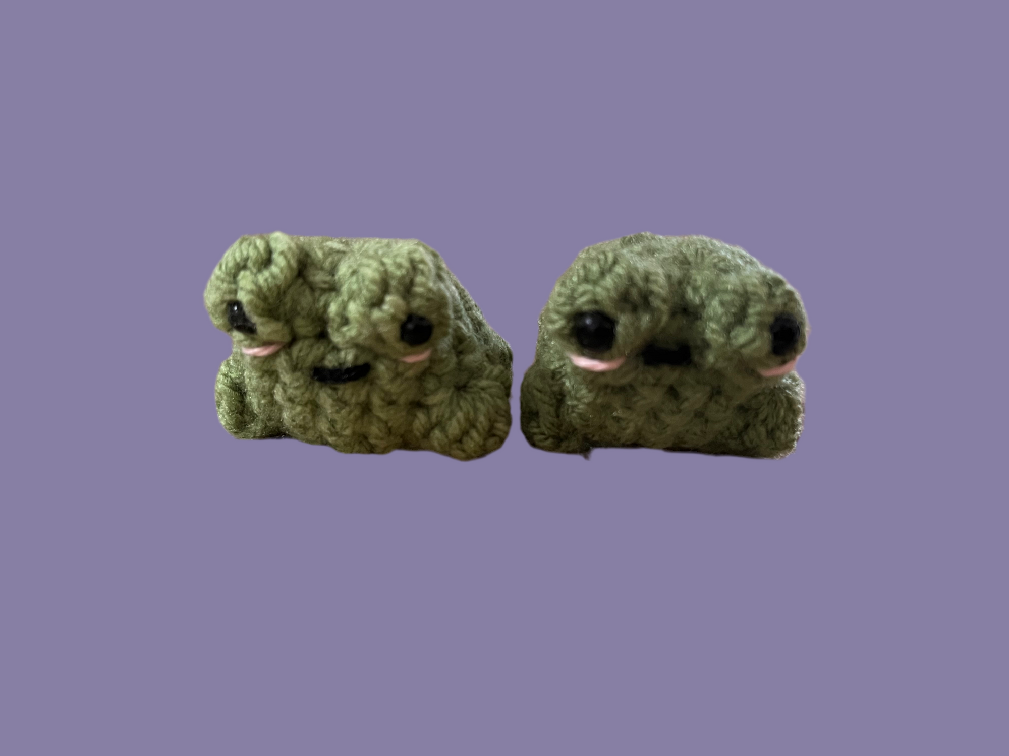 Small frogs