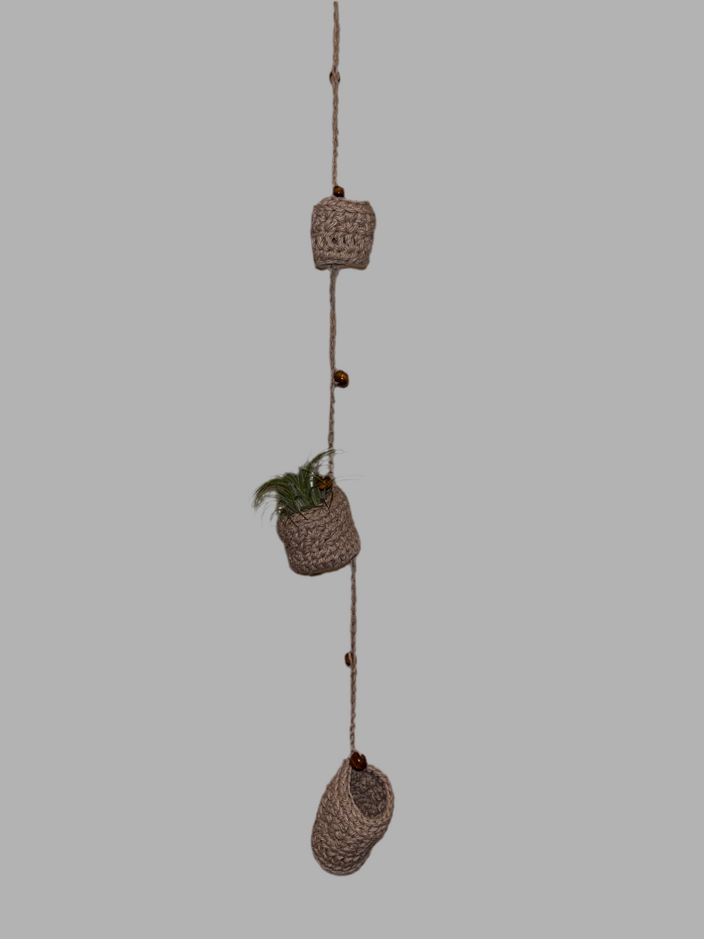 Airplant holder