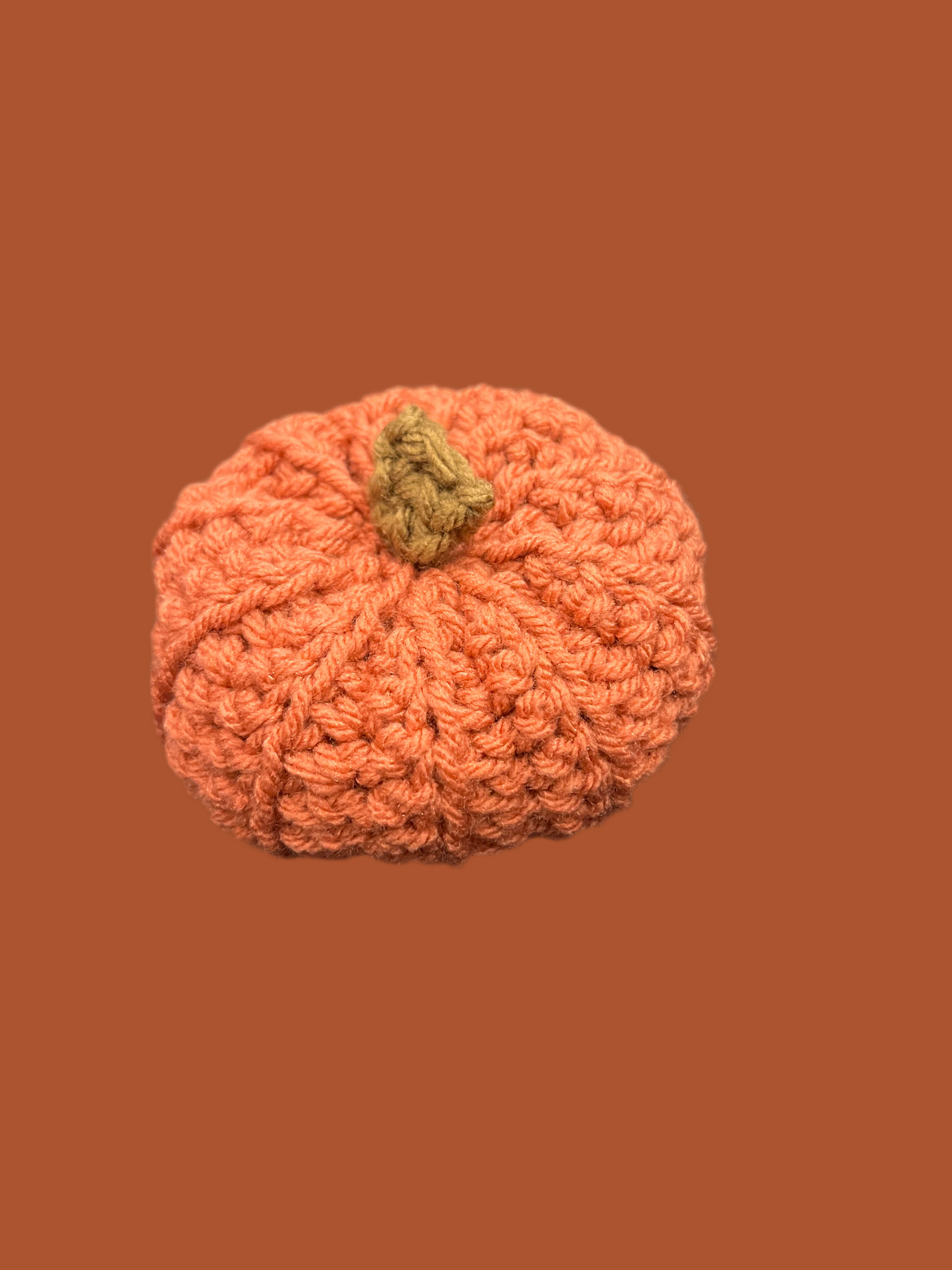 Pumpkin w/squeaker