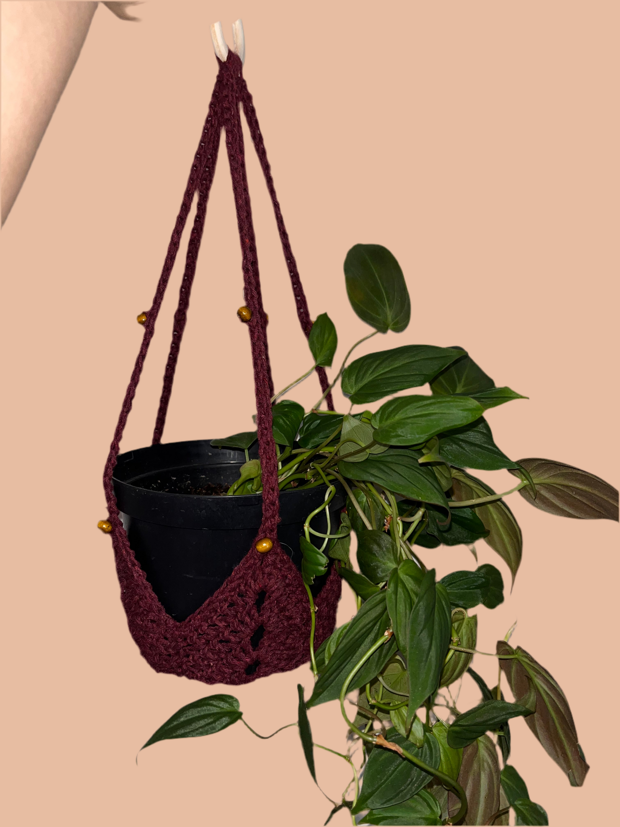 Plant Hanger w/ Beads